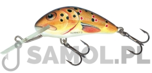 Wobler Salmo Hornet T / TRO