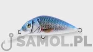 WOBLER DORADO SCOUT 6CM F RBR