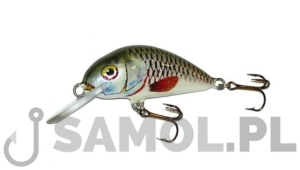 WOBLER DORADO SCOUT 6CM S GRS