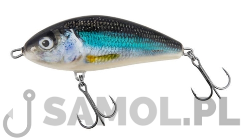 SALMO WOBLER FATSO HLS.jpg