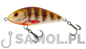 SALMO WOBLER FATSO SBP
