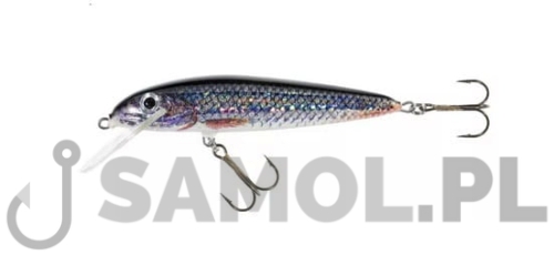 Wobler Jaxon Classic P.jpg