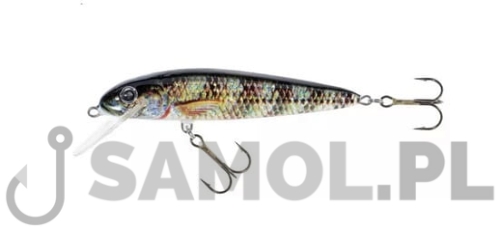 Wobler Jaxon Classic O.jpg