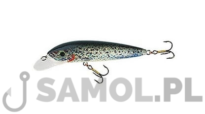 Wobler Jaxon Classic S.jpg