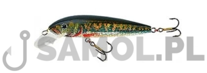 Wobler Jaxon Classic SR.jpg