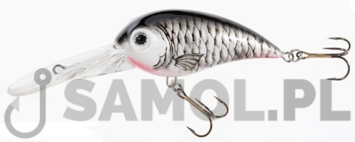 Wobler Jaxon Holo Select Bumer BN.jpg