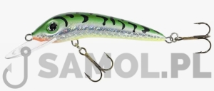 Wobler Jaxon Holo Select Ferox ST