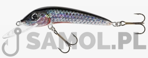 Wobler Jaxon Holo Select Ferox P.jpg