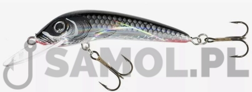 Wobler Jaxon Holo Select Ferox SC.jpg