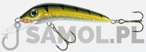 Wobler Jaxon Holo Select Ferox OB.jpg