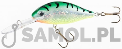 Wobler Jaxon Holo Select Fighter ST.jpg