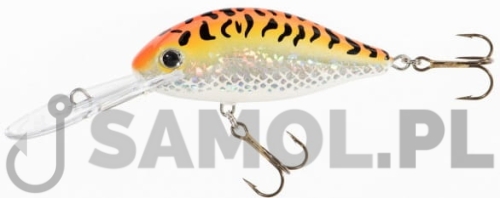 Wobler Jaxon Holo Select Fighter GFT.jpg