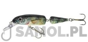 Wobler Jaxon Holo Select Horn O