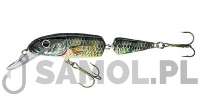 Wobler Jaxon Holo Select Horn O.jpg