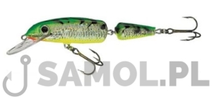 Wobler Jaxon Holo Select Horn ST