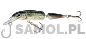 Wobler Jaxon Holo Select Horn U