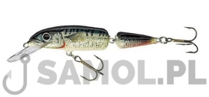 Wobler Jaxon Holo Select Horn U.jpg