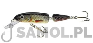 Wobler Jaxon Holo Select Horn W