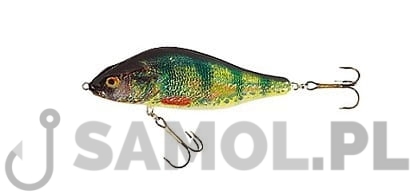 Wobler Jaxon Holo Select Jerk Plus ON.jpg