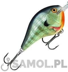 Wobler Rapala Dives-To DT04 BG.jpg