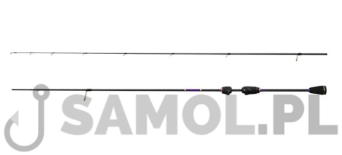 wild trout.jpg
