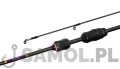 wild trout2.jpg