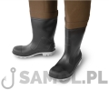 orava 2.jpg