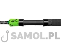 green cod 3.jpg
