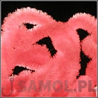 e6563e3a0f6ec07e71a65276360852267baa7fc5