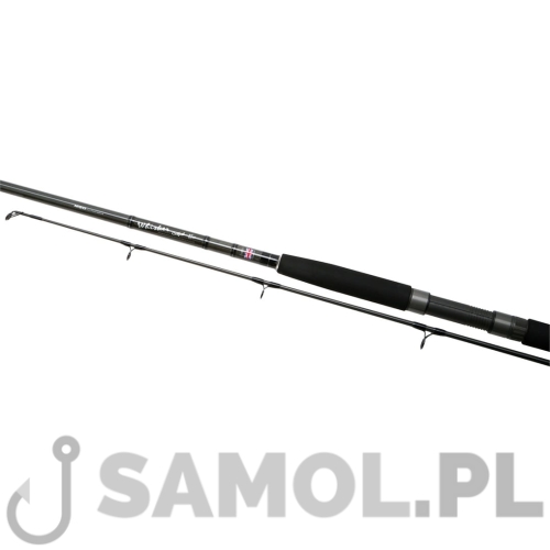 whisker catfish 1.jpg