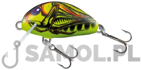 Wobler Salmo 3 cm kolor GRH.jpg