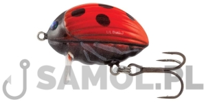 Wobler Salmo Lil'Bug kolor LB / LAB