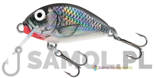 Wobler Salmo 3 cm kolor HGS.jpg