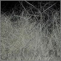 a5f44519972afb73d27683791f6e6059222a8d3d