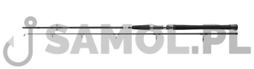 Wędka Daiwa MEGAFORCE Pilk.jpg