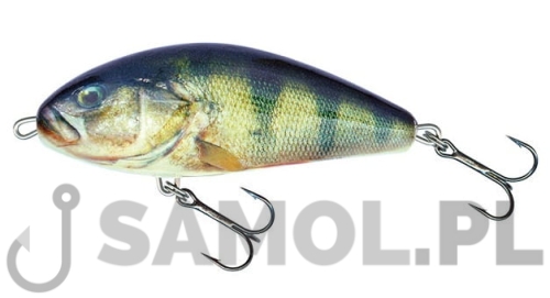 Wobler Salmo Fatso RPH.jpg