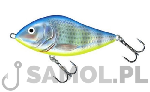 Wobler Salmo Slider APH.jpg