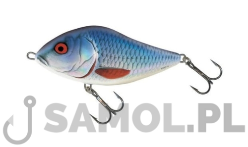 Wobler Salmo Slider HOR.jpg