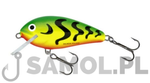 Wobler Salmo Butcher GT.jpg
