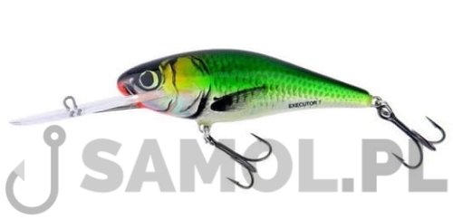 SALMO WOBLER EXECUTOR SDR EF.jpg