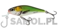 SALMO WOBLER EXECUTOR SR EF.jpg