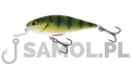 SALMO WOBLER EXECUTOR SR RPH.jpg