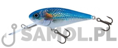 SALMO WOBLER EXECUTOR SDR HSH.jpg