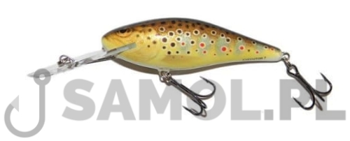 SALMO WOBLER EXECUTOR SDR TRO.jpg