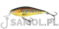SALMO WOBLER EXECUTOR SR TRO.jpg