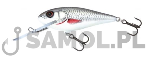 SALMO WOBLER EXECUTOR SDR D.jpg
