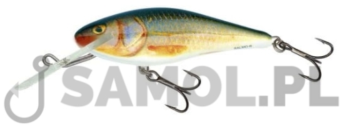 SALMO WOBLER EXECUTOR SDR RR RER.jpg