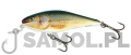 SALMO WOBLER EXECUTOR SR RR RER.jpg