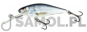SALMO WOBLER EXECUTOR RD / RDE