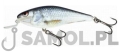 SALMO WOBLER EXECUTOR SR RD RDE.jpg